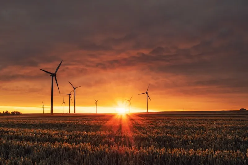 Wind farm in West Texas with transmission lines stretching to the horizon